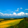 北の大地　2007北海道美瑛（２）
