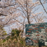 博覧会の思い出と桜1 2019 FUJINON F2.8 3.5cm/EPM1