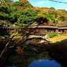 横浜 三溪園 臨春閣