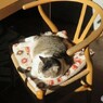 日向ぼっこ