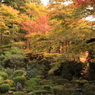 京都三千院＿庭園1