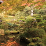 京都三千院＿庭園2