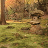 京都三千院＿庭園3
