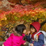 東福寺の紅葉　番外編