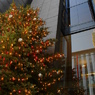 Ginza