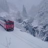 雪景色が見れました！