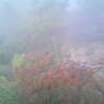 20091101_千光寺公園
