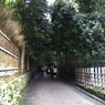 20070401_嵯峨野　竹林の道