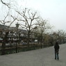 20050327_倉敷美観地区