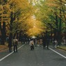 曇天ですが…