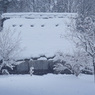 里の雪