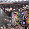淡雪(2)