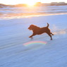 RUNRUNRUN