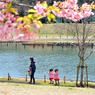 「春の日差しを浴びて」