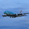 「スカイ」 Flying Honu A380-841 到着