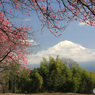 里山の春 -2