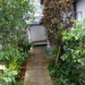 通路なう
