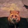 新しいモデル