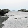 三浦海岸