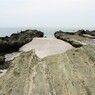 三浦海岸