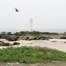 三浦海岸