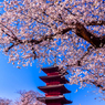 二年前の池上本門寺