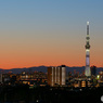 スカイツリーの夕景 Ⅳ