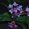 8B515C27-C87E-4915-A594-87E7D67A2419