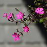 69D821A2-4FFF-49C0-9D24-E0959883ED29