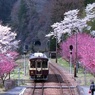 春の風