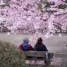 ほのぼの