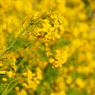5734E972-F289-44D3-8619-0B41B5AFD47E
