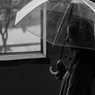 春時雨