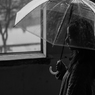 春時雨