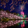 三年前の高田公園 夜桜と花火