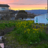 写真掌編：にほひをこせよ20：夕暮れ