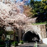 はる近い街をゆくⅡ