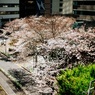 はる近い街をゆくⅢ
