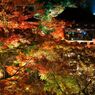 Autumun Impact　 -  清水寺　-