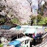 こども遊園地に訪れた早春－２