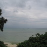 IMG_0184
