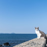 春の海、春の空