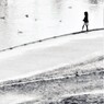 散歩道で