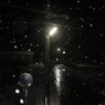 夜更けの雪