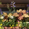 DSC02184