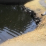 水ぬるむ