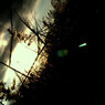 ~emerald