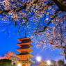 夜の池上本門寺