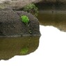三浦海岸