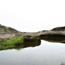 三浦海岸